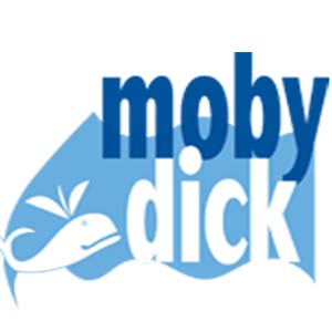 Swimming School Moby Dick